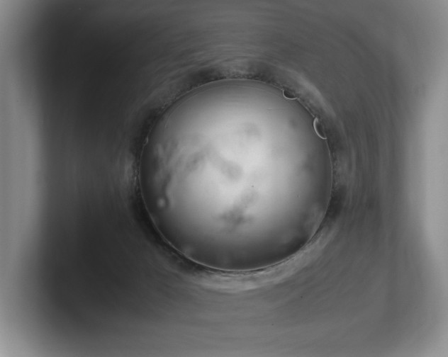 X0000102260029200807251338