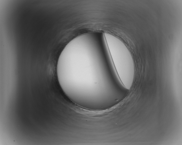 X0000102260035200807251338