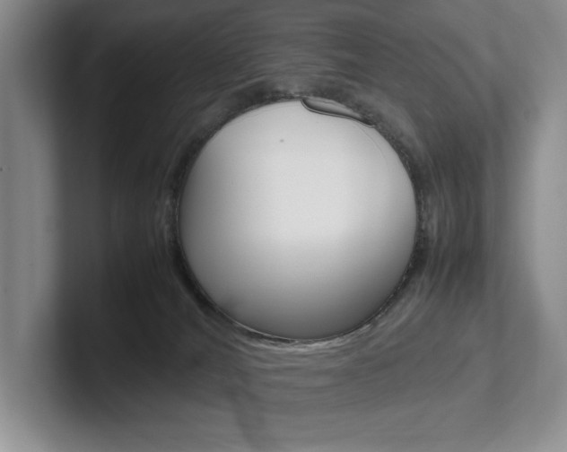 X0000102260036200807251338