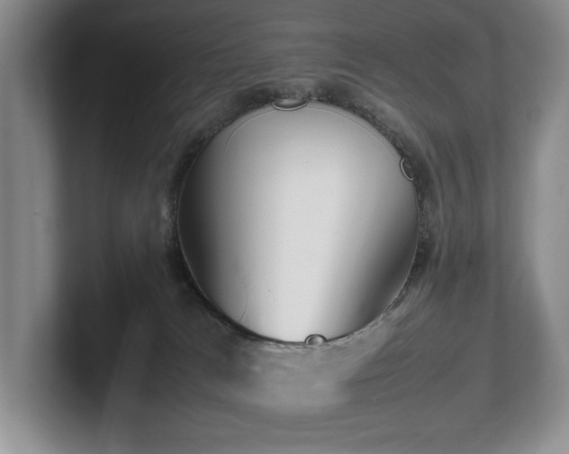 X0000102260037200807251338