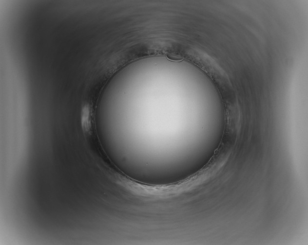 X0000102260038200807251338