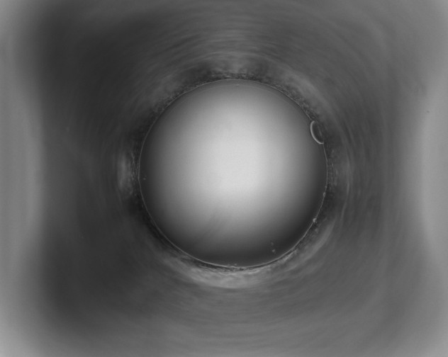 X0000102260040200807251338