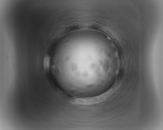 X0000102260041200807251338