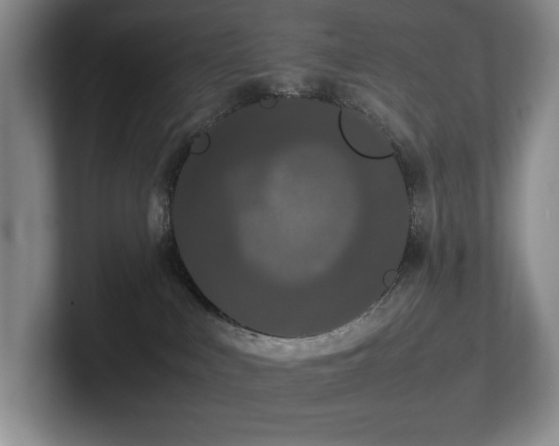 X0000102260043200807251338