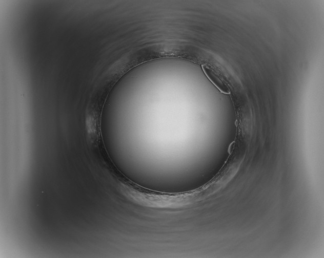 X0000102260044200807251338