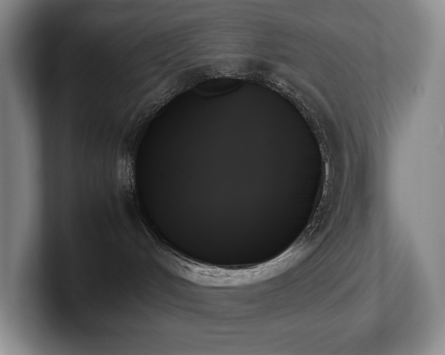 X0000102260048200807251338