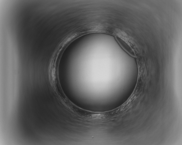 X0000102260050200807251337