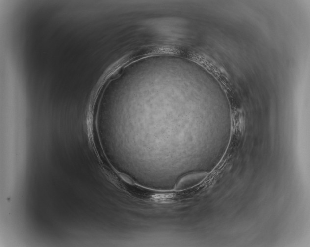 X0000102260051200807251337