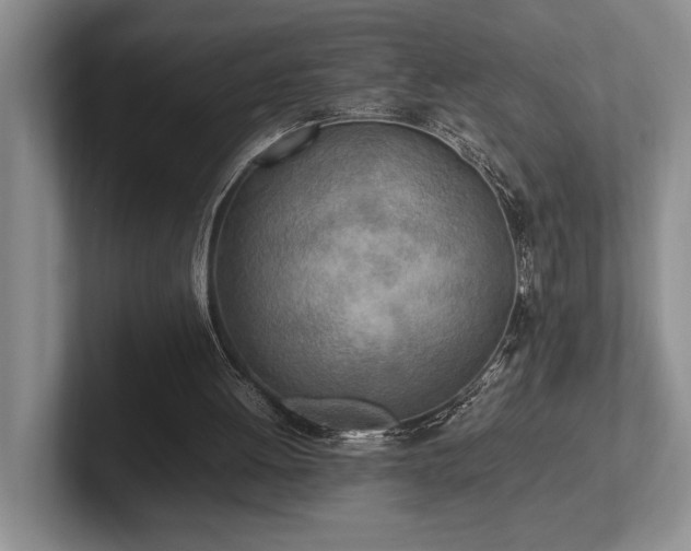 X0000102260052200807251337