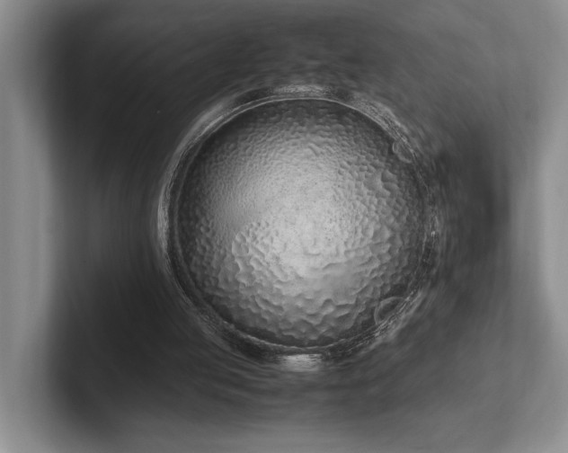 X0000102260053200807251337