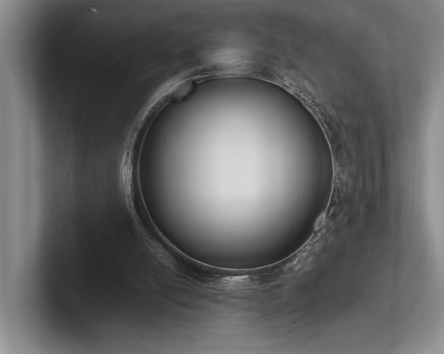 X0000102260054200807251337