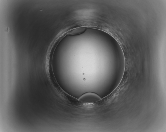 X0000102260055200807251337