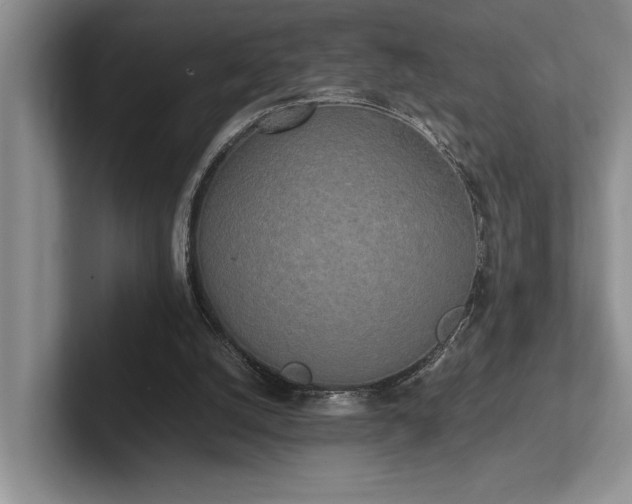 X0000102260056200807251337