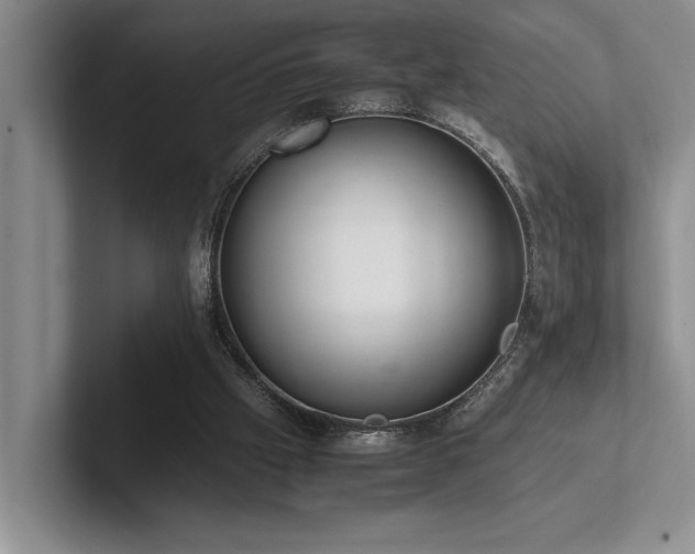 X0000102260057200807251337