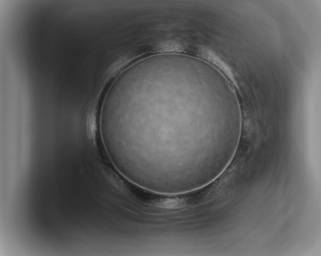 X0000102260059200807251337