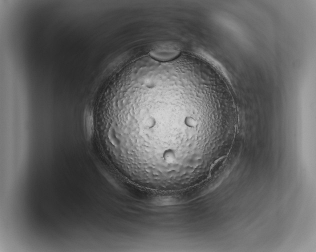 X0000102260061200807251337