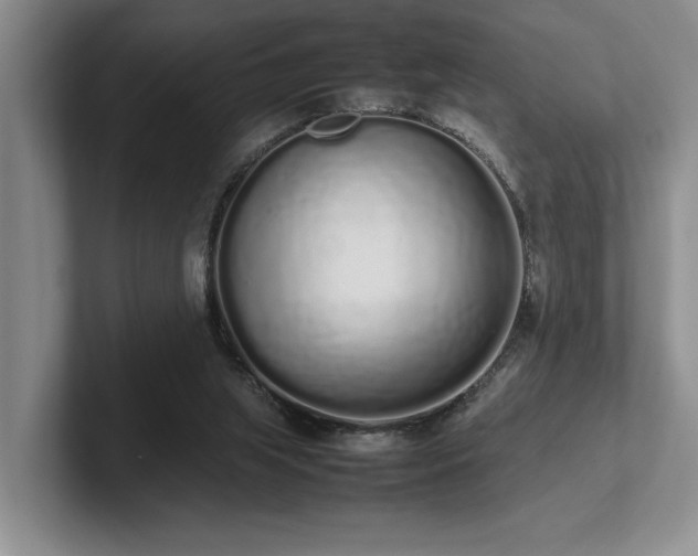 X0000102260063200807251337