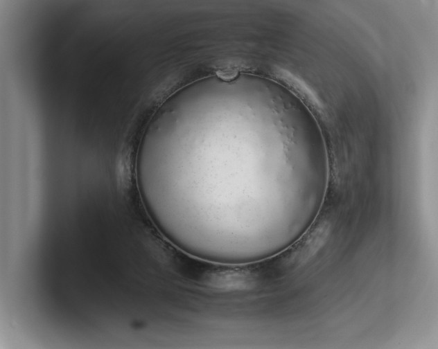 X0000102260065200807251337