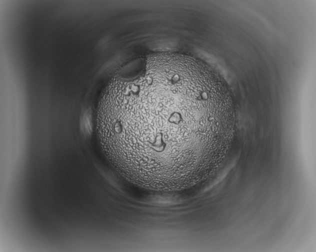 X0000102260069200807251338