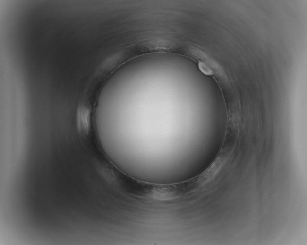 X0000102260070200807251338