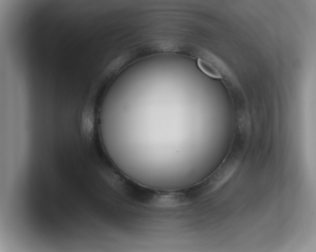 X0000102260072200807251338