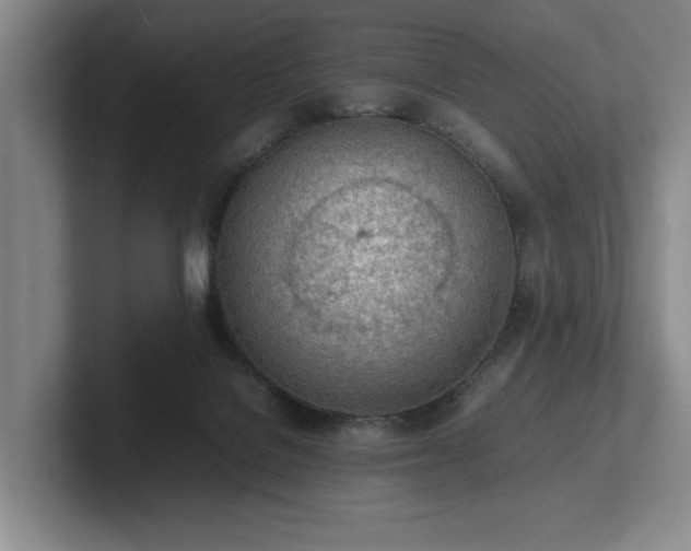 X0000102260076200807251338