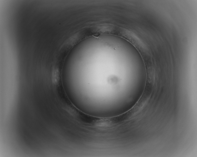 X0000102260077200807251338