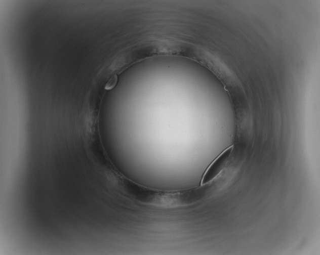 X0000102260078200807251338