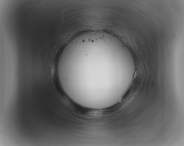 X0000102260084200807251338