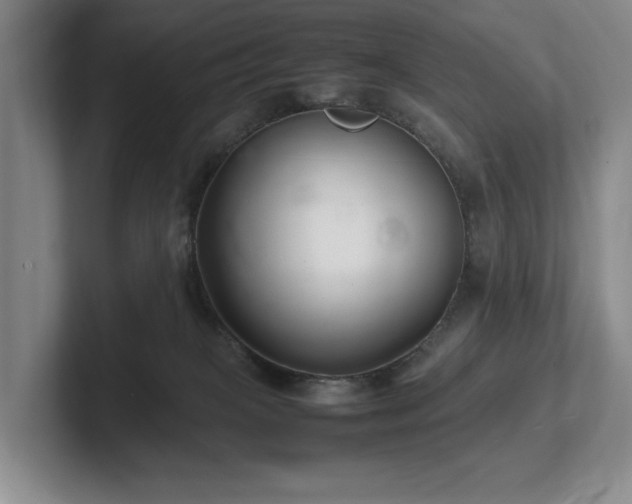 X0000102260085200807251338