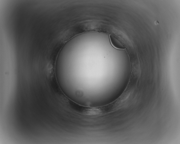 X0000102260087200807251338