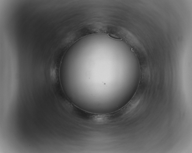 X0000102260088200807251338