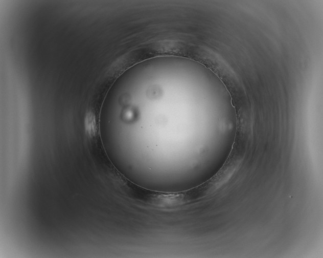 X0000102260089200807251338