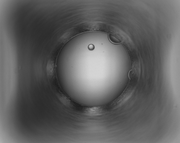 X0000102260092200807251338