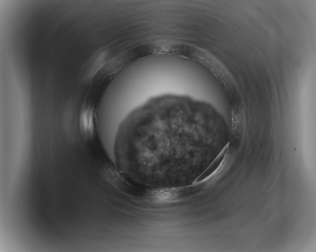 X0000102260094200807251338