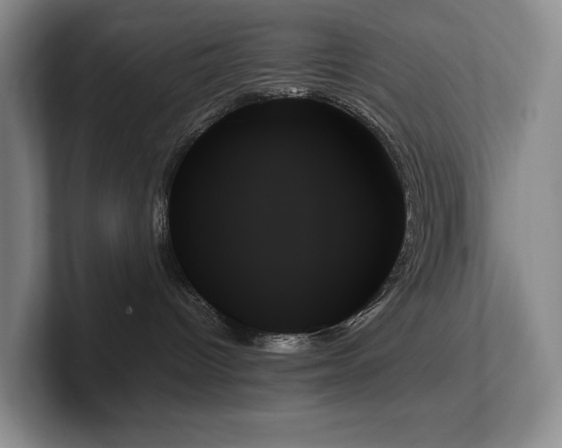 X0000102260096200807251338