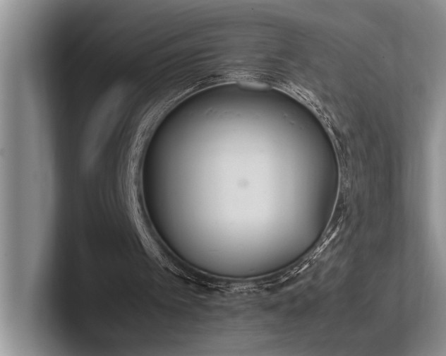 X0000102260097200807251337