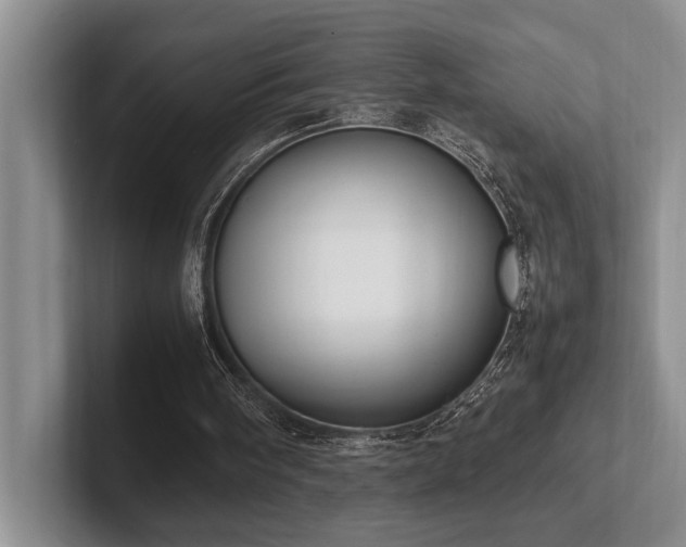 X0000102260098200807251337