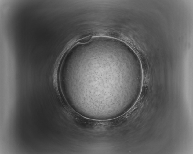 X0000102260099200807251337