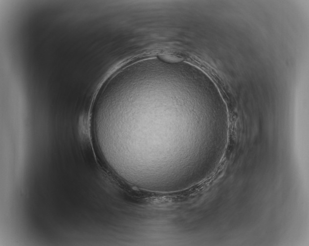 X0000102260100200807251337