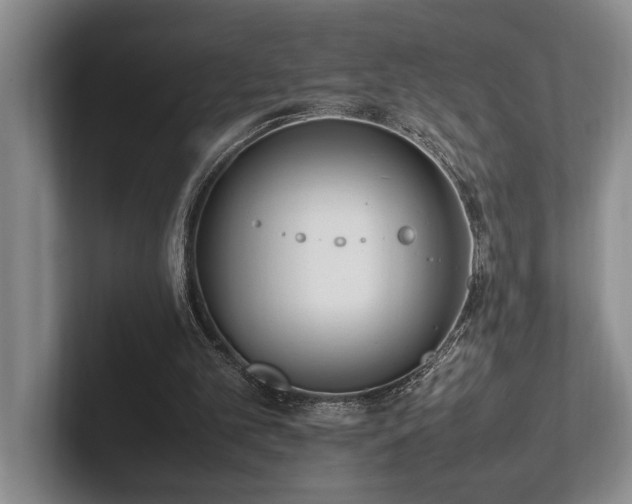 X0000102260101200807251337