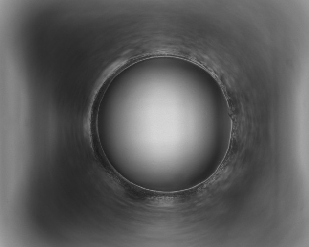 X0000102260104200807251337