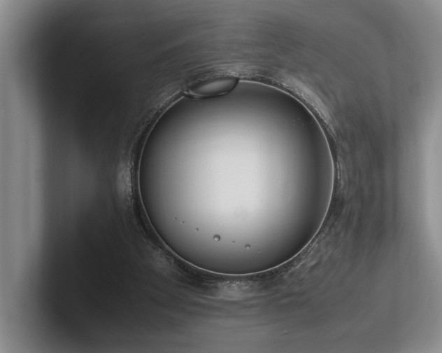 X0000102260105200807251337