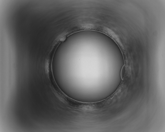 X0000102260106200807251337