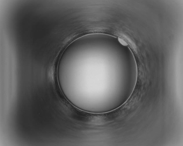 X0000102260107200807251337