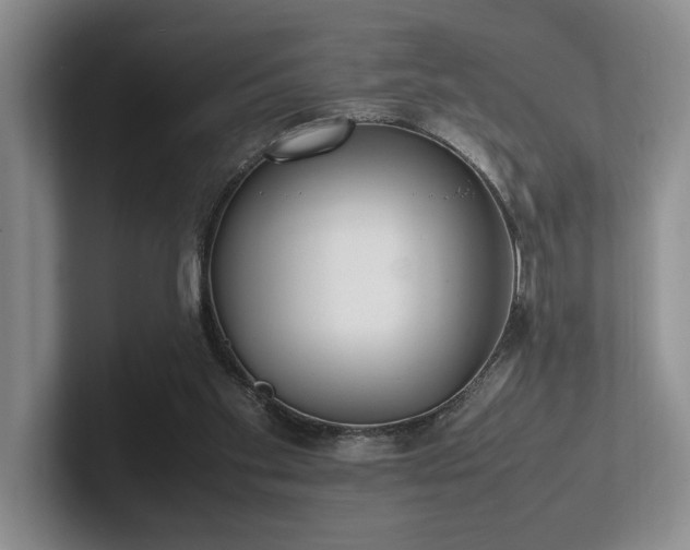 X0000102260109200807251337