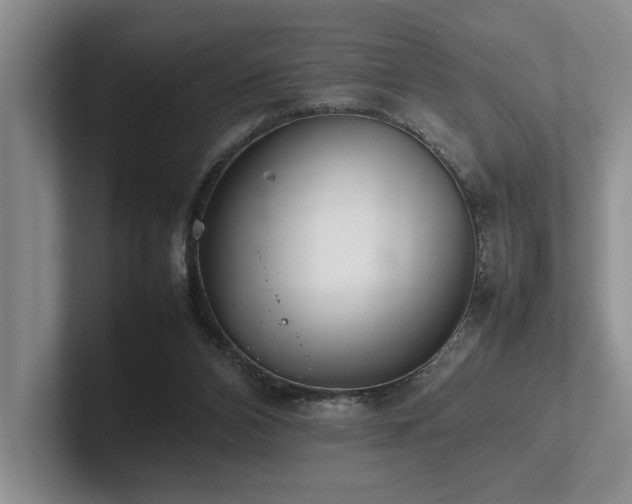 X0000102260112200807251337