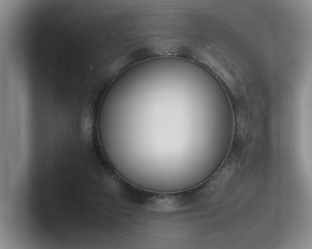 X0000102260113200807251337