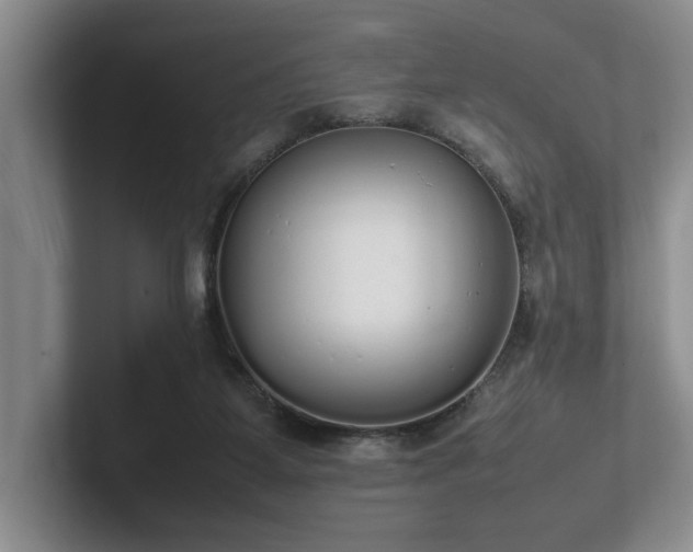 X0000102260115200807251337