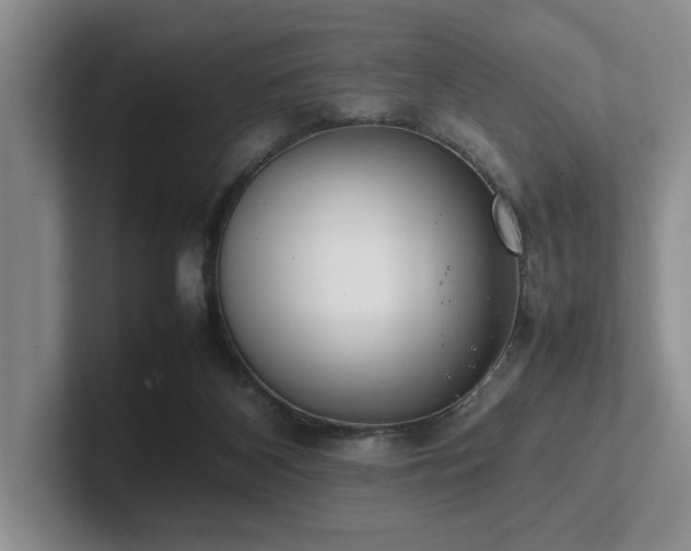 X0000102260116200807251337